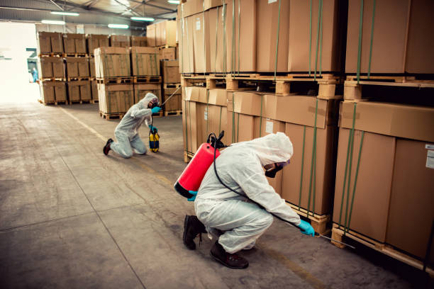 Pest Control Cost in Spring Valley Village, TX