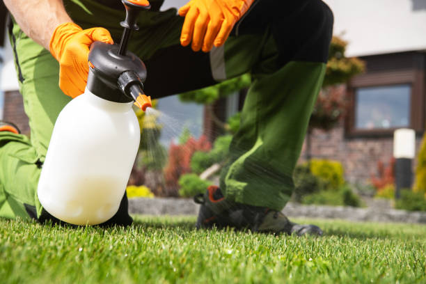 Best Best Pest Control Companies  in Spring Valley Village, TX