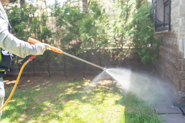 Best Termite Control Services  in Spring Valley Village, TX