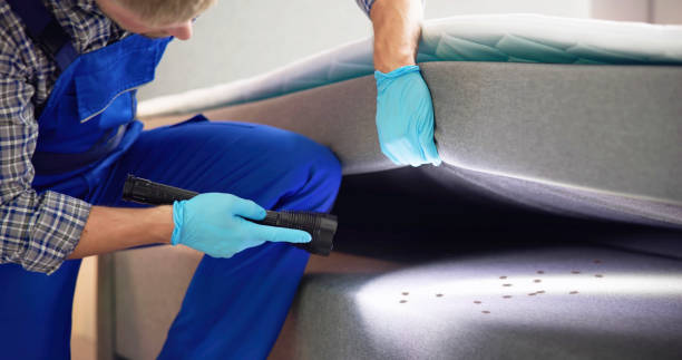  Spring Valley Village, TX Pest Control Pros