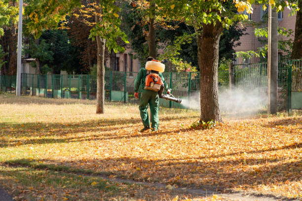 Trusted Spring Valley Village, TX Pest Control Experts
